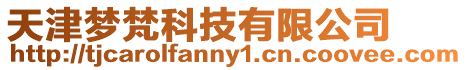 天津夢(mèng)梵科技有限公司