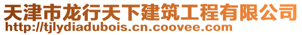 天津市龍行天下建筑工程有限公司