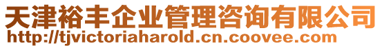 天津裕豐企業(yè)管理咨詢有限公司