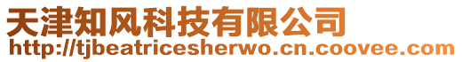 天津知風(fēng)科技有限公司