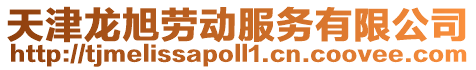 天津龍旭勞動服務(wù)有限公司