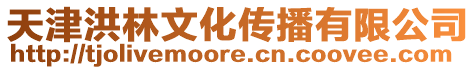 天津洪林文化傳播有限公司