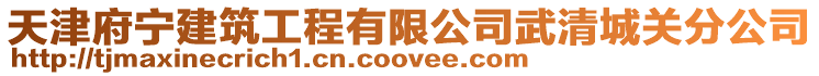 天津府寧建筑工程有限公司武清城關分公司