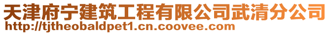 天津府寧建筑工程有限公司武清分公司