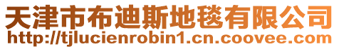 天津市布迪斯地毯有限公司