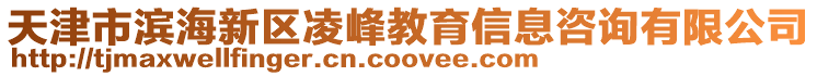 天津市濱海新區(qū)凌峰教育信息咨詢有限公司