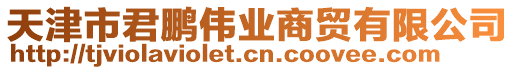 天津市君鵬偉業(yè)商貿(mào)有限公司