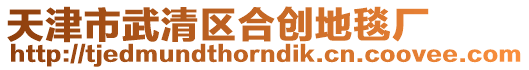 天津市武清區(qū)合創(chuàng)地毯廠