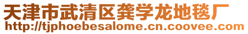 天津市武清區龔學龍地毯廠