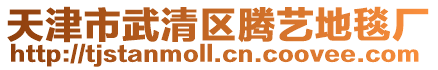 天津市武清區騰藝地毯廠