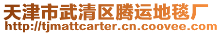 天津市武清區(qū)騰運地毯廠