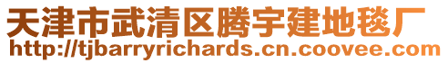 天津市武清區騰宇建地毯廠