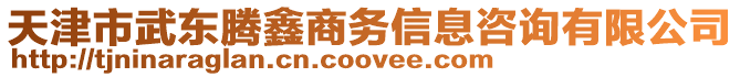 天津市武東騰鑫商務(wù)信息咨詢有限公司