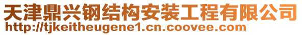 天津鼎興鋼結構安裝工程有限公司