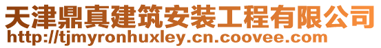天津鼎真建筑安裝工程有限公司