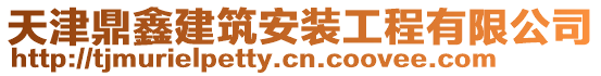 天津鼎鑫建筑安裝工程有限公司