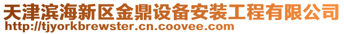 天津濱海新區(qū)金鼎設(shè)備安裝工程有限公司