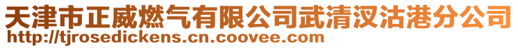 天津市正威燃?xì)庥邢薰疚淝邈夤粮鄯止? style=