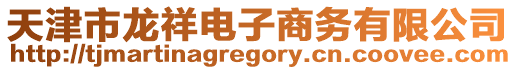 天津市龍祥電子商務有限公司