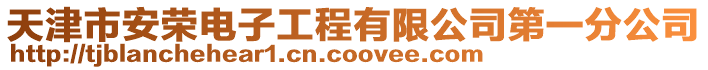 天津市安榮電子工程有限公司第一分公司