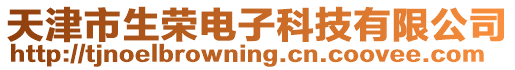 天津市生榮電子科技有限公司