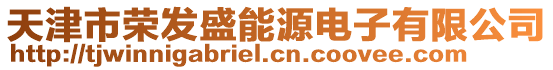 天津市榮發盛能源電子有限公司