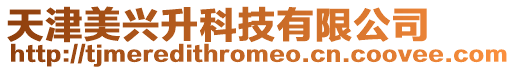 天津美興升科技有限公司