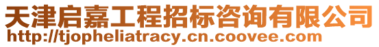 天津啟嘉工程招標咨詢有限公司