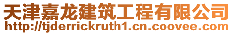 天津嘉龍建筑工程有限公司