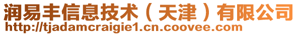 潤易豐信息技術(天津)有限公司