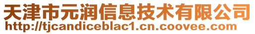 天津市元潤信息技術(shù)有限公司