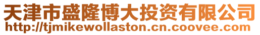 天津市盛隆博大投資有限公司
