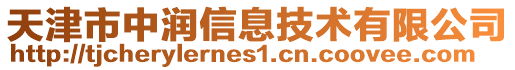 天津市中潤信息技術有限公司