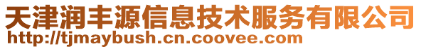 天津潤豐源信息技術(shù)服務(wù)有限公司