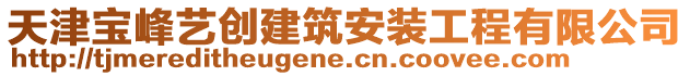 天津?qū)毞逅噭?chuàng)建筑安裝工程有限公司