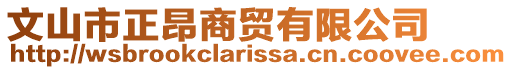 文山市正昂商貿有限公司