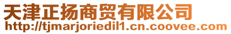 天津正揚(yáng)商貿(mào)有限公司