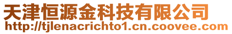天津恒源金科技有限公司