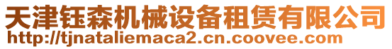 天津鈺森機械設備租賃有限公司