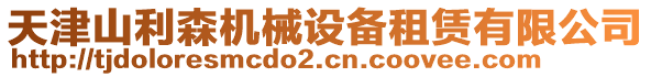 天津山利森機(jī)械設(shè)備租賃有限公司