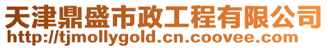 天津鼎盛市政工程有限公司