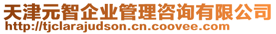 天津元智企業(yè)管理咨詢有限公司