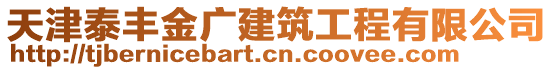 天津泰豐金廣建筑工程有限公司