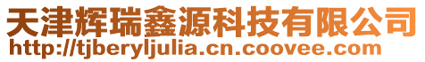 天津輝瑞鑫源科技有限公司