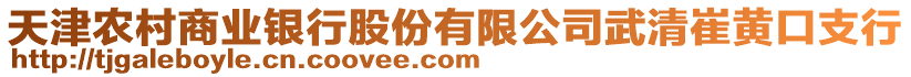 天津農村商業銀行股份有限公司武清崔黃口支行