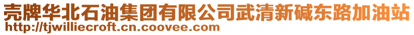 殼牌華北石油集團(tuán)有限公司武清新堿東路加油站