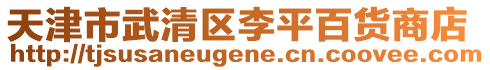 天津市武清區李平百貨商店