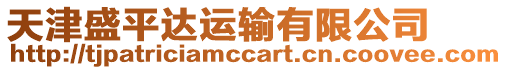 天津盛平達運輸有限公司