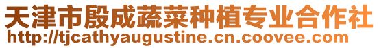 天津市殷成蔬菜種植專業(yè)合作社