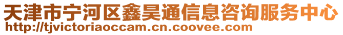 天津市寧河區鑫昊通信息咨詢服務中心